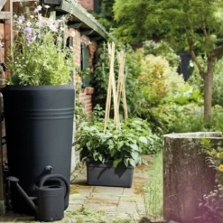 Elho Green Basics Regenton -Exporteren Zonnige Tuin Winkel elho green basics regenton 1000x667 625fdb2cef1f3 l