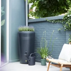 Elho Green Basics Regenton -Exporteren Zonnige Tuin Winkel elho green basics regenton 665x1000 625fdb2d44bbf l