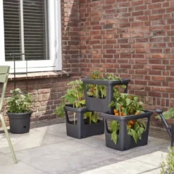 Elho Plantenbak Green Basics Stack & Grow Large Zwart 11 Elho Plantenbak Green Basics Stack & Grow Large Zwart -Exporteren Zonnige Tuin Winkel elho plantenbak green basics stack grow large zwart 800x534 620e3d4fc59c1 l