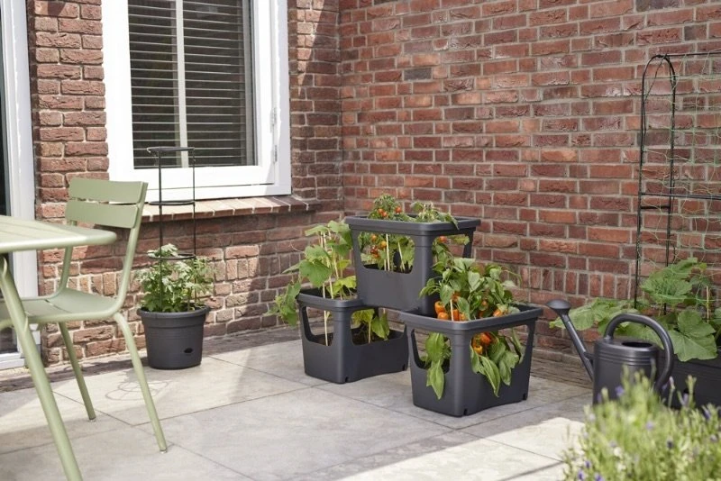 Elho Plantenbak Green Basics Stack & Grow Large Zwart 6 Elho Plantenbak Green Basics Stack & Grow Large Zwart - Afbeelding 6