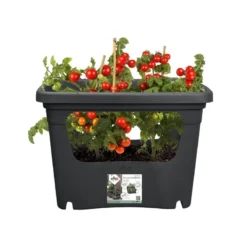 Elho Plantenbak Green Basics Stack & Grow Large Zwart 8 Elho Plantenbak Green Basics Stack & Grow Large Zwart -Exporteren Zonnige Tuin Winkel elho plantenbak green basics stack grow large zwart 800x800 620e3d4eed857 l