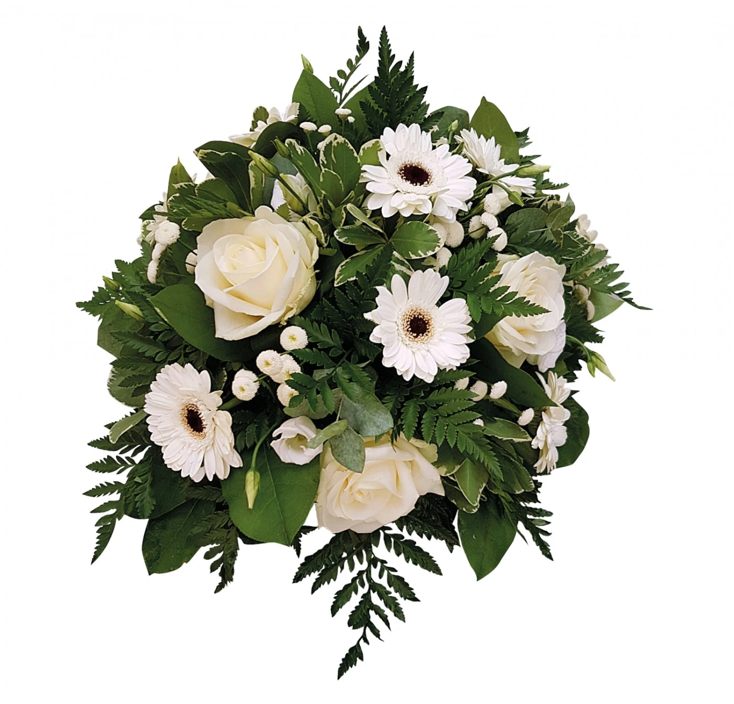 Innig Medeleven, 30cm 1 Innig Medeleven, 30cm