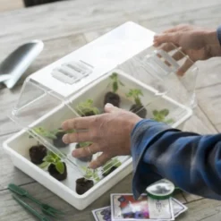 Nature Deksel Voor Kweekbak 55x31cm -Exporteren Zonnige Tuin Winkel nature deksel voor kweekbak 55x31cm 595x800 6214a0230c942 l