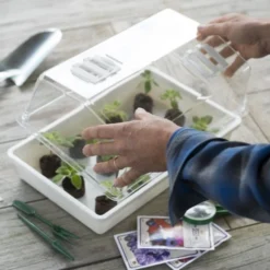 Nature Deksel Voor Kweekbak 55x31cm -Exporteren Zonnige Tuin Winkel nature deksel voor kweekbak 55x31cm 800x587 6214a0233f631 l