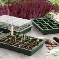 Nature Kweekbakset 35x23,5cm 4 St -Exporteren Zonnige Tuin Winkel nature kweekbakset 35x23 5cm 4 st 800x532 6214a027c962f l