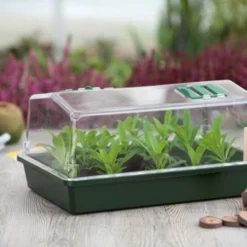 Nature Kweekkas Groen 55x31cm -Exporteren Zonnige Tuin Winkel nature kweekkas groen 55x31cm 800x532 6214a0257444b l