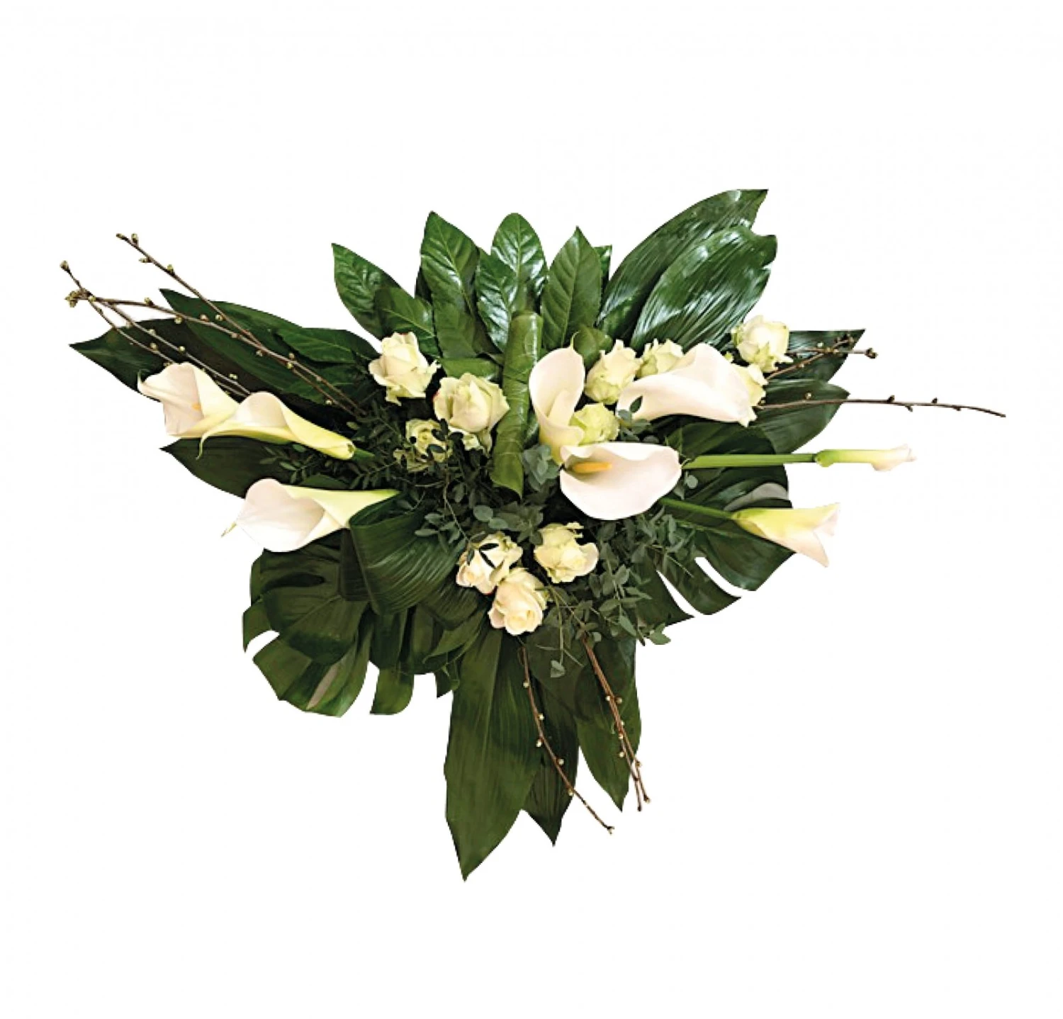 Veel Kracht, 60cm 1 Veel Kracht, 60cm