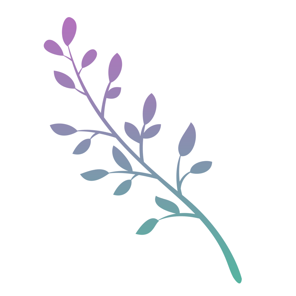 Exporteren Zonnige Tuin Winkel